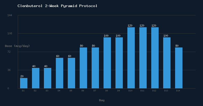 Clenbuterol Dosage Chart - 2 Week Pyramid Protocol